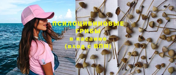 шишки Лихославль
