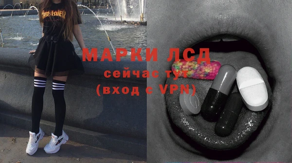 индика Мещовск
