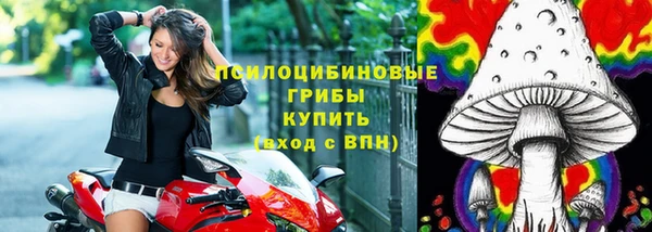 шишки Лихославль