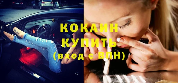 шишки Лихославль
