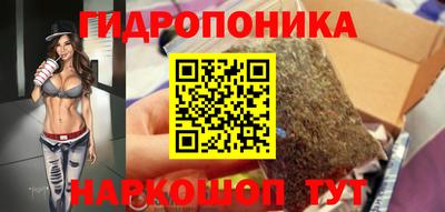 прущие грибы Балаково