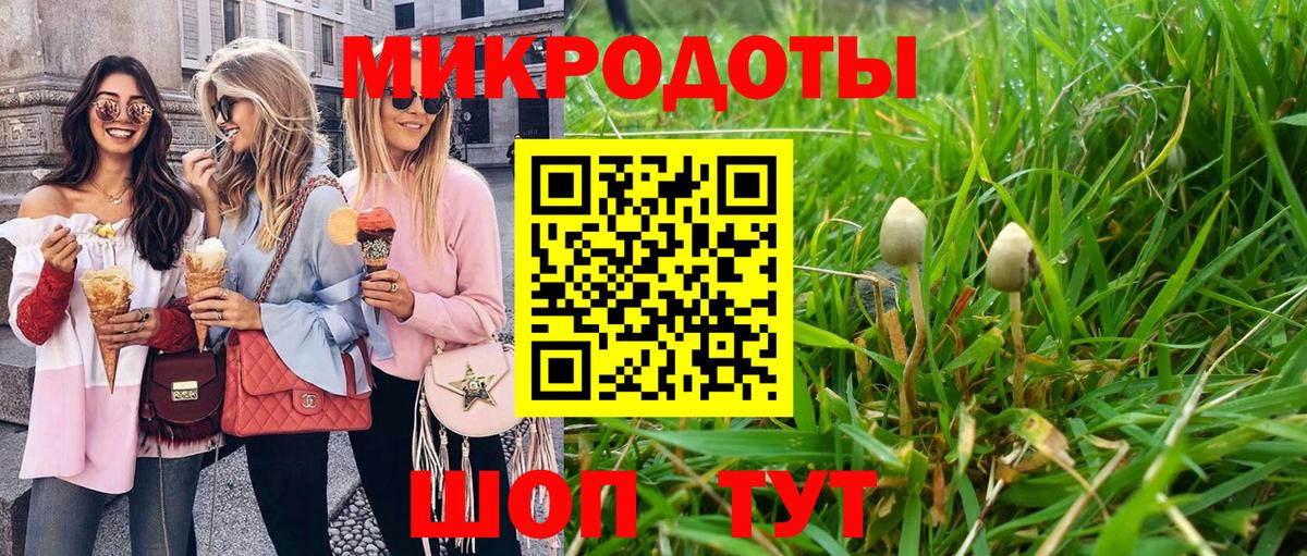 Галлюциногенные грибы Psilocybe Белебей