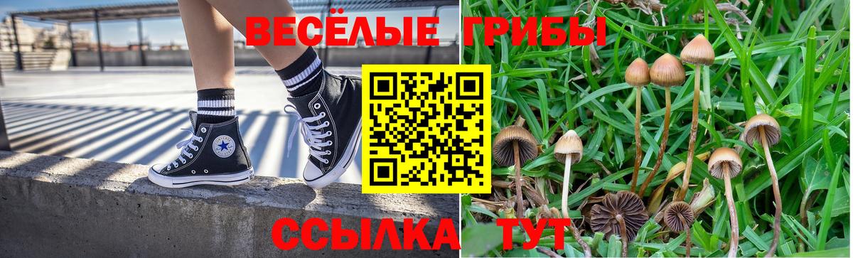 Псилоцибиновые грибы ЛСД  Вход с VPN  Галлюциногенные грибы Magic Shrooms  Белебей 