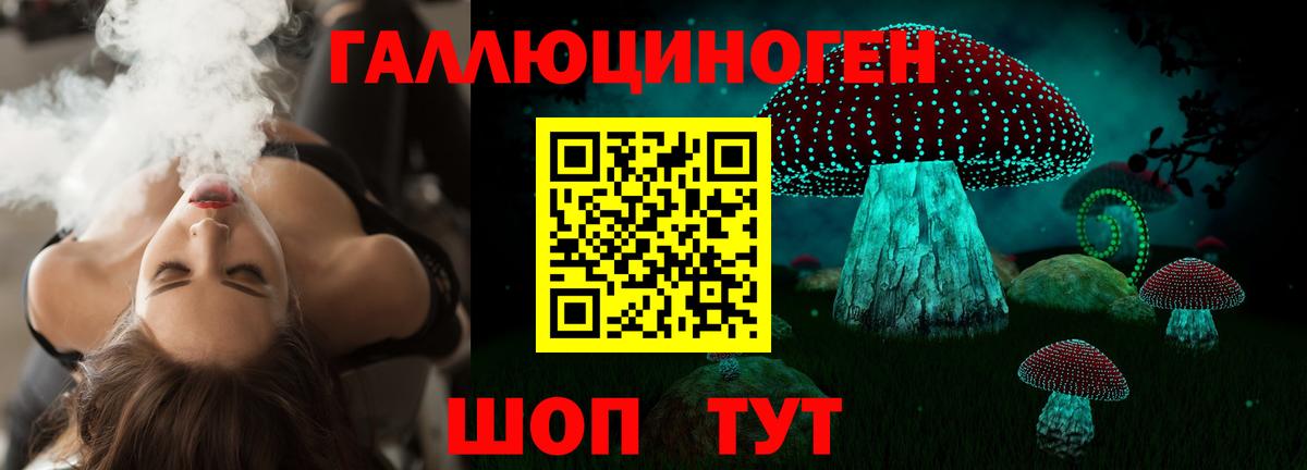 Псилоцибиновые грибы GOLDEN TEACHER Белебей